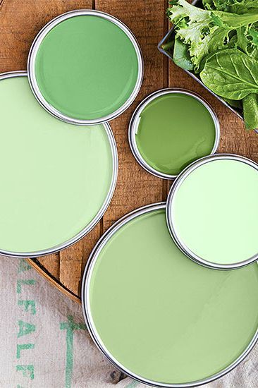 Light Green Paint Colors, Mint Green Paints, Light Green Paint, Green Wall Color, Birth Colors, Neutral Paint Colors, Green Paint Colors, Storing Paint, Interior Paint Colors