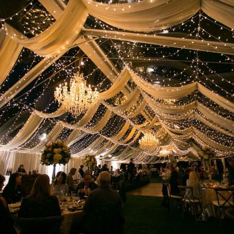 Rentaland Tents and Events. Orlando Wedding Rentals. Wedding Drapes. Tent wedding reception.  #orlandoweddings #orlandoweddingrentals Wedding Tent Lighting Night, Clear Tent Wedding Reception Night, Tent Ideas For Wedding, Indoor Tent Wedding Reception, Cocktail Party Decorations Night Outdoor, Wedding Decor Ceiling, Beach Wedding Setup, Wedding Drapes, Wedding Tent Decorations