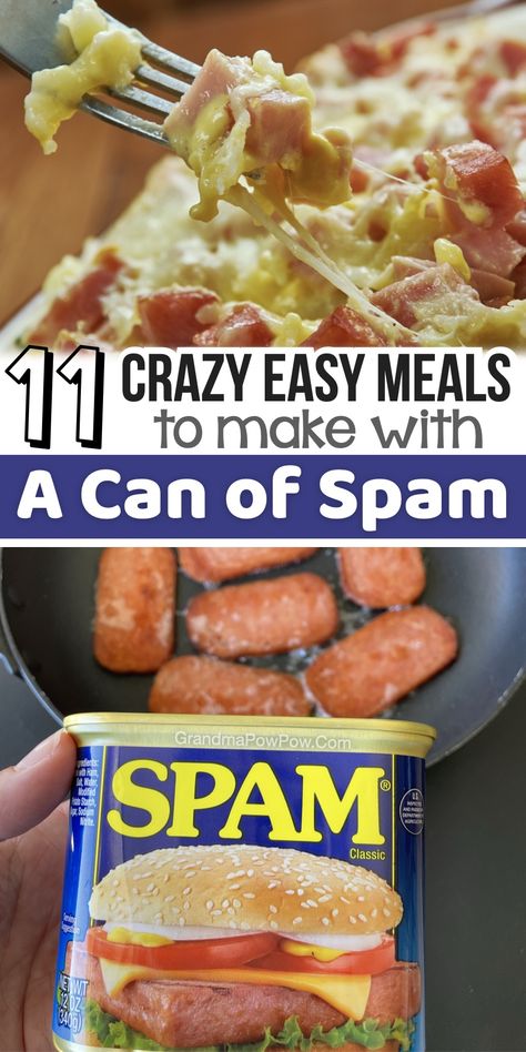 11 Crazy Easy Meals To Make With A Can of Spam How To Cook Spam, Canned Beef Recipe, Spam Recipes Dinners, Easy Meals To Make, Spam Recipes, Easy Cheap Dinners, Meals To Make, Cheap Easy Meals, Canned Meat