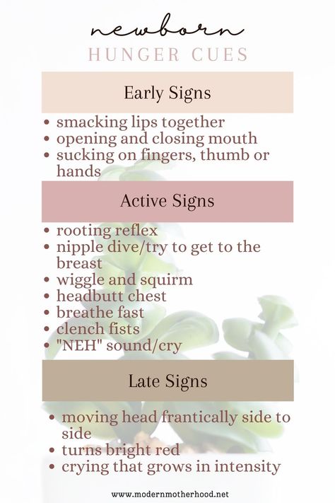 Newborns have a variety of hunger cues that indicate they are ready to eat. Some of the most common hunger cues include: Rooting reflex: When a baby is hungry, they may turn their head and open- Hunger Cues Baby Newborns, Baby Hunger Cues, Newborn Cues, Hunger Cues, Nanny Life, Eat More Chicken, Parenting Tools, Bloom Baby, First Time Parents