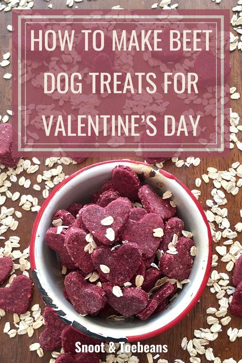 This Valentine’s Day, remember your dog and whip up some valentine cookies for dogs. In addition, this recipe will make enough for you to treat all of your favorite dogs. This is an easy recipe using red beets and unsweetened applesauce. #ValentineCookiesforDogs #DogValentineCookies #DogValentineTreats #DogsandValentinesDay #BeetDogTreats #DogTreatsMadeWithBeets Valentine Dog Cookies, Valentine Dog Treats Homemade, Dog Valentines Treats, Valentine’s Day Dog Treats, Valentines Dog Treats, Valentines Day Dog Treats, Cookies For Dogs, Pet Bakery, Treat Business