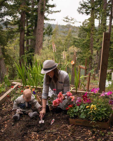 Forest Feast, Tattoo Plant, Future Farms, Cottage Gardens, Jolie Photo, Farm Gardens, Gardening For Kids, Future Kids, Country Life