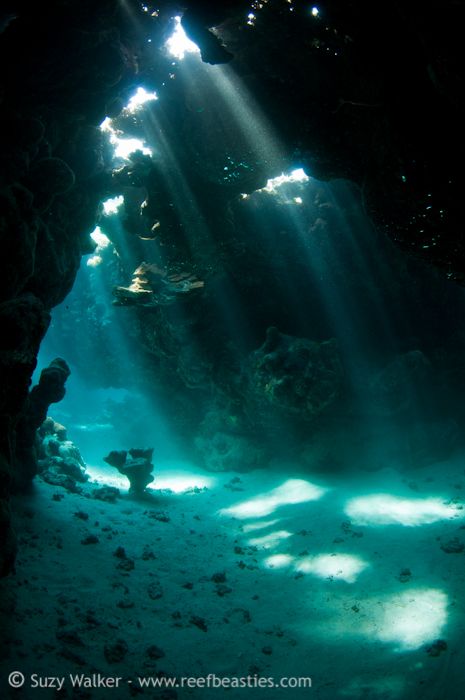 Underwater Caves, Bike Travel, Sea Cave, Theme Nature, Tumblr Wallpaper, Underwater Photography, Underwater World, Ocean Life, Pretty Places