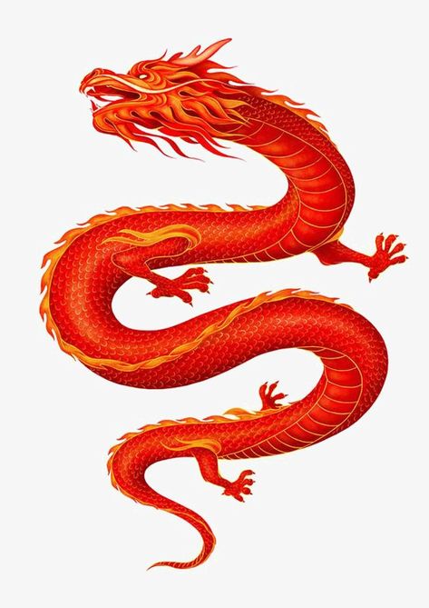 Gina Kiel, Red Chinese Dragon, Laser Patterns, Chinese Dragon Art, Dragons Tattoo, Buddhist Iconography, Bilik Permainan, Arte Yoga, Dragon Rouge