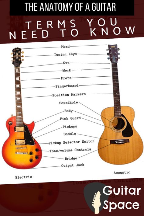 Parts Of The Guitar, Basics Of Guitar, Beginning Guitar Lessons, Learn Acoustic Guitar Beginner, Beginner Acoustic Guitar Riffs, Type Of Guitar, Parts Of A Guitar, How To Build A Guitar, Different Types Of Guitars