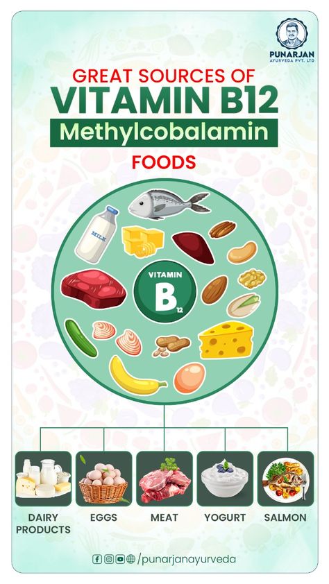 Foods You Should Eat if You Have a B12 Deficiency · Fish and Shellfish · Red Meat · Dairy · Poultry · Eggs · Vegan or Vegetarian Sources Sources Of Vitamin B12, Sources Of B12, Vitamin B12 Foods, Low Vitamin B12, B12 Foods, Estrogen Deficiency, Low Estrogen Symptoms, B12 Deficiency, Vitamin B12 Deficiency