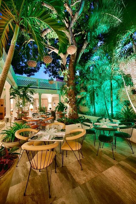 Carmen Restaurant Cartagena - Restaurant Reviews, Photos & Phone Number - TripAdvisor Colombian Restaurant Design, Garden Restaurant Design, Lounge Inspiration, Outdoor Restaurant Design, Tiki Bar Decor, Restaurant Patio, Garden Restaurant, Tiki Lounge, Decoration Restaurant