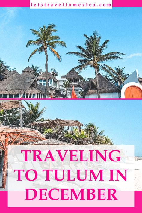 Planning a Tulum getaway in December? Check out the weather forecast, must-see events, and fun activities that will make your trip unforgettable this winter. Tulum In December, December Weather, Tulum Travel Guide, Tulum Travel, Tulum Beach, Events Activities, Event Activities, Weather Forecast, Travel Guides