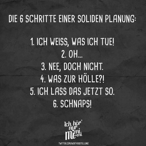 6 Schritte einer soliden Planung: 1. Ich weiß, was ich tue! 2. Oh ... 3. Nee, dich nicht. 4. Was zur Hölle?! 5. Ich lass das jetzt so. 6. Schnaps! Sarcasm Humor, Visual Statements, Amazing Quotes, Family Quotes, Funny Facts, Words Quotes, Wise Words, Best Quotes, Funny Pictures