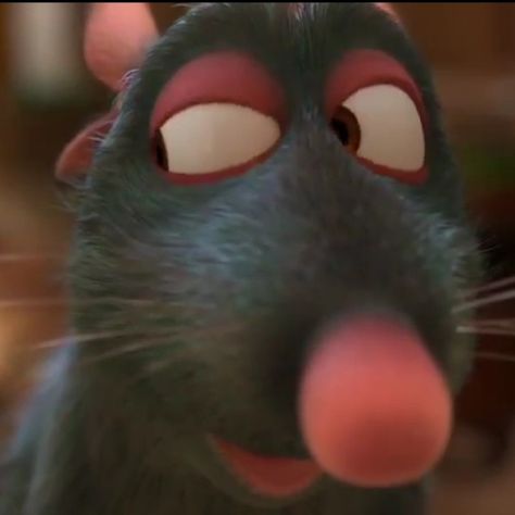 Funny Ratatouille Pictures, Ratatouille Funny, Rat From Ratatouille, Paige Core, Sus Things, Sus Face, Rat Meme, Rat Face, Cheese Meme