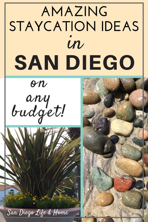 San Diego Staycation, San Diego Bucket List, Ideas For Fun, San Diego Vacation, Staycation Ideas, California Trip, San Diego Travel, San Diego Living, Traveling Tips