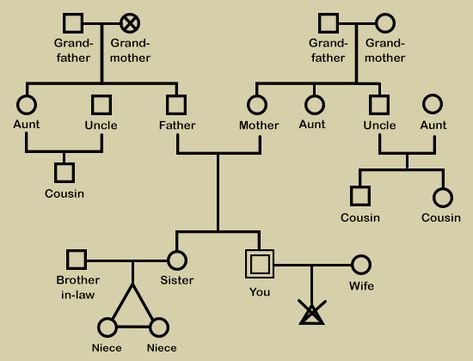 A Creative Guide on How to Make a Genogram for Your Family Family Genogram Template, Genogram Family Tree, Genogram Design Ideas, Family Presentation Ideas, Genogram Symbols, Genogram Example, Family Genogram, Genogram Template, Mission Statement Examples