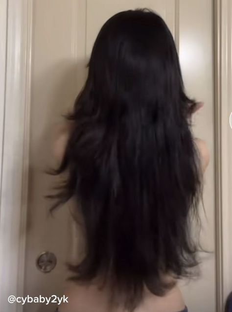 Long Black Hair With Bangs Grunge, Long Black Fluffy Hair, Long Black Hair Messy, Long Black Messy Hair, Long Black Wolf Cut, Long Black Hair Layers, Black Long Hair Aesthetic, Long Layered Black Hair, Long Black Layered Hair