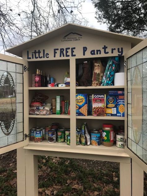 Blessing Box Food Pantry Diy, Community Pantry Ideas, Blessing Box Ideas, Free Food Pantry, Outdoor Pantry, Community Pantry, Blessing Boxes, Girl Scout Silver Award, Homeless Care Package