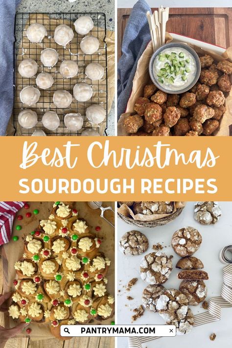 Best sourdough Christmas recipes to bring joy to your festive table. From sourdough Christmas cookies to tear & share Christmas bread! Sourdough For Christmas, Christmas Sourdough Scones, Christmas Sourdough Inclusions, Christmas Sourdough Bread Recipes, Sourdough Discard Gingerbread, Christmas Sourdough Cookies, Sourdough Wreath Bread, Christmas Sourdough Discard Recipes, Sour Dough Christmas