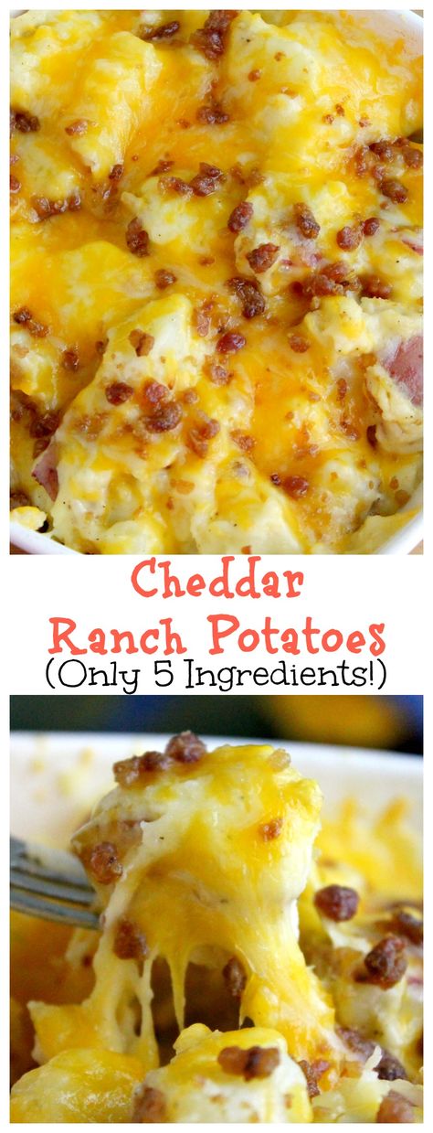 Cheddar Ranch Potatoes, Cheesy Red Potatoes, Baked Red Potatoes, Cheesy Ranch Potatoes, Red Potato Recipes, Ranch Potatoes, Potato Recipes Side Dishes, Potato Sides, Potato Side Dishes