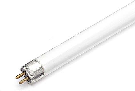 13W 21inch T5 Fluorescent Tube 835 -White : Amazon.co.uk: Lighting Recycling Information, Tube Lamp, Cfl Bulbs, Fluorescent Tube, Fluorescent Light, Home Projects, Light Bulb, Lighting