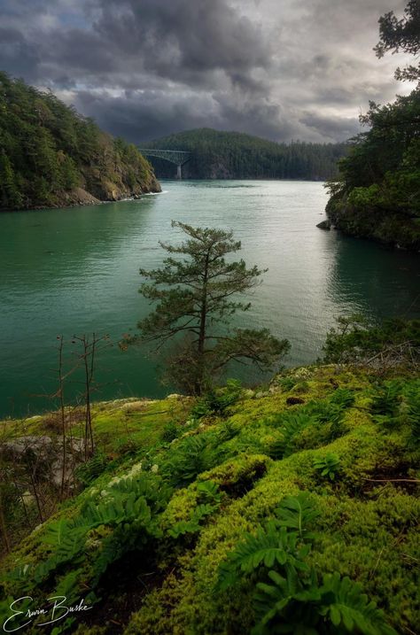 Deception Pass, State Of Mind, Washington State, Ocean View, State Park, State Parks, Washington, Bridge, Forest