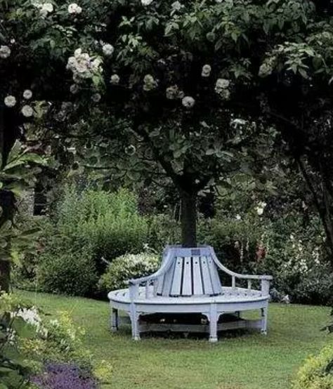 Tree bench Highgrove Garden, Highgrove House, Tree Seat, Creative Landscaping, Tree Bench, White Bench, Famous Gardens, Garden Benches, Garden Seating