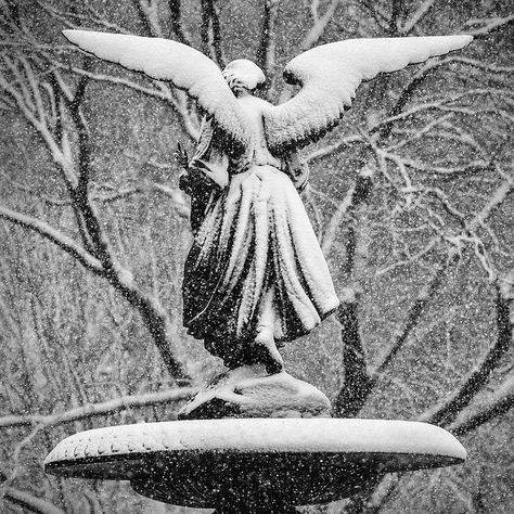 kylycreationscreativejewelry: “ (via Snow covered #Angel | Winter) ” Entertaining Angels, Cemetery Art, I Love Winter, Angel Statues, Angels Among Us, Snow Angels, Winter Magic, Winter Aesthetic, Winter Wonder