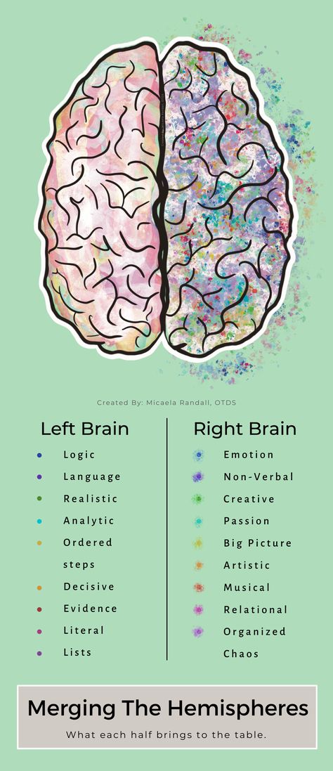 Brain Anatomy And Function, Brain Pictures, Brain Diagram, Left Brain Right Brain, Teaching Psychology, Improve Brain Power, Psychology Notes, Left Brain, Psychology Studies