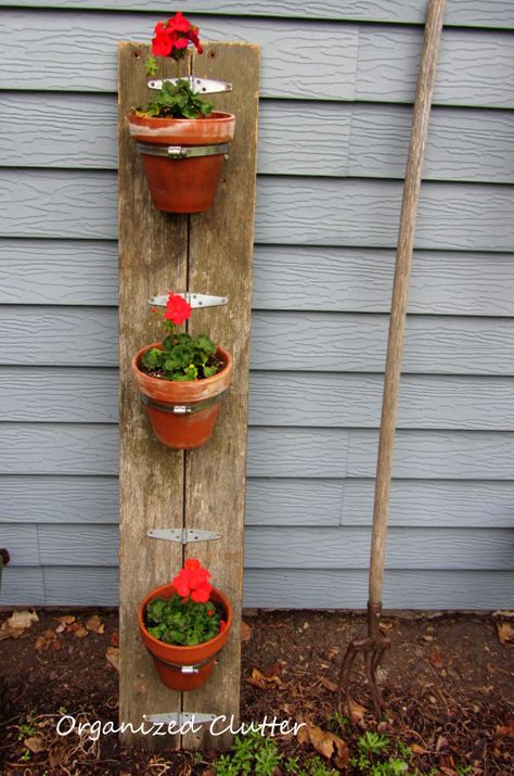 Terracotta Pot Planter from Reclaimed Wood www.organizedclutterqueen.blogspot.com Tiki Ideas, Diy Wall Planter, Rustic Pot, Organized Clutter, Garden Escape, Flower Bed Edging, Geraniums Red, Rustic Pots, Raised Flower Beds