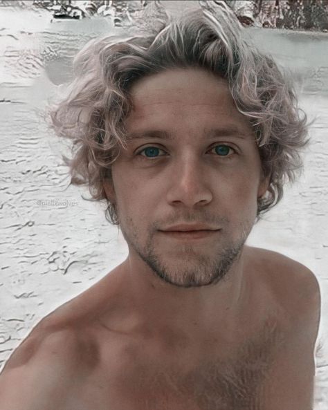 Niall Horan Hair, Niall Horsn, Niall Horan News, One Direction Fotos, Niall Horan Baby, One Direction Fanart, One Direction Concert, One Direction Photos, Irish Princess