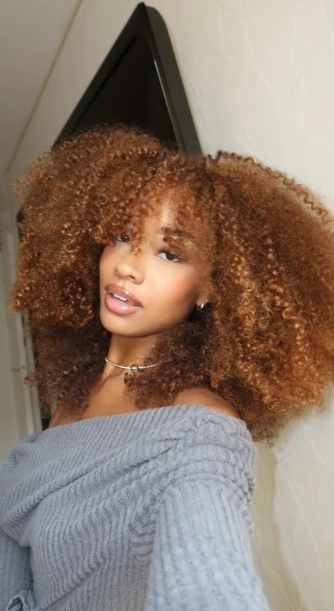 Blonde Curly Afro, Curly Afro Hair, Ginger Honey, Honey Brown Hair, Big Curly Hair, Dyed Hair Inspiration, Colored Curly Hair, Dyed Natural Hair, Hairdos For Curly Hair