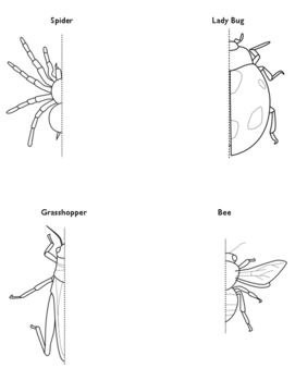 Students love this simple complete the other half of the insect practice worksheet. Use this one page PDF document to assess student learning midway through teaching symmetry to see how your students are grasping the concept. Students just need a pencil and patience as they complete the insects. I l... Teaching Symmetry, Symmetry Worksheets, Spider Drawing, Art Teaching, The Other Half, Plan Ideas, Other Half, The Missing, Teaching Art