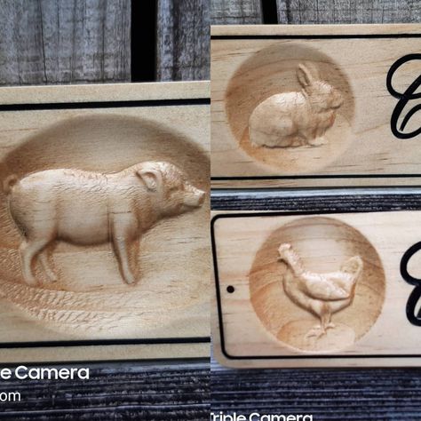 Custom carved farm animal signs. If it squeals, clucks or snorts we got ya covered. #farmandbarndecor #farmanimalcustomcarvedsigns #animalrescuenameplaques Home Address Signs, Horse Stall Sign, Personalized Name Signs, Goat Shed, Animal Signs, Rabbit Home, Loafing Shed, 3d Rabbit, Stall Signs