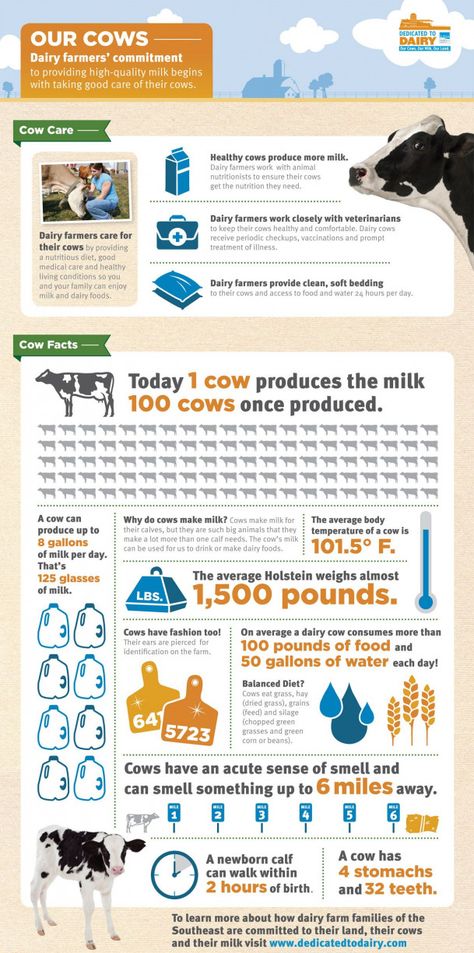 Cow Care Tips, Dairy Science, Cow Care, Cow Facts, Ag Science, Farm Facts, Ag Education, Dairy Farming, Farm Wife