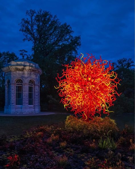 Have you ever spent a night in the sun? Experience “Chihuly in the Garden 2023” in an extraordinary way at “Chihuly Nights.” Enjoy live music and entertainment as you stroll the garden and take in Dale Chihuly’s stunning works illuminated at night. Get your tickets in advance: https://www.missouribotanicalgarden.org Dale Chihuly, “Summer Sun,” 2010. Missouri Botanical Garden. © 2023 Chihuly Studio. All Rights Reserved. Garden 2023, Missouri Botanical Garden, Dale Chihuly, Chihuly, Paperweights, Botanical Garden, Summer Sun, Night In, In The Garden