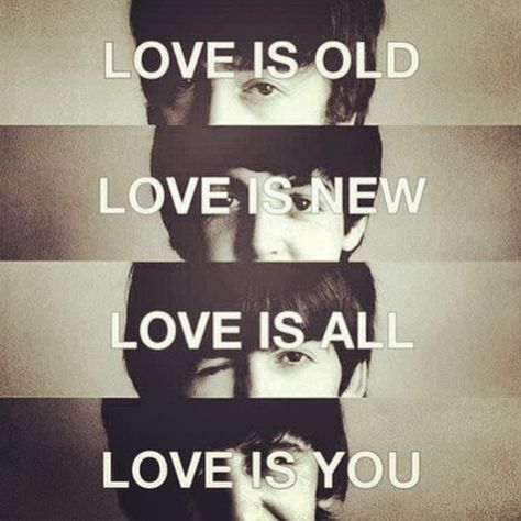 Beatles Quotes, Beatles Lyrics, Beatles Poster, Beatles Love, Love Me Do, The Fab Four, Paul George, Old Love, Ringo Starr