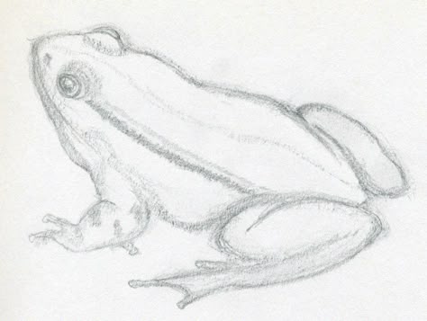 how to draw | How To Draw A Frog Quickly Draw A Frog, Werewolf Drawing, Frog Sketch, Realistic Sketch, Frog Drawing, Pencil Drawings Easy, Frog Art, A Frog, Animal Sketches