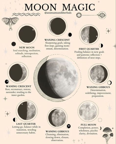 Lunar Birth Phase, New Moon Illustration, Witchcraft Journal, Lunar Witch, Lunar Magic, The Phases Of The Moon, Moon Phase Calendar, Moon Rituals, Moon Reading