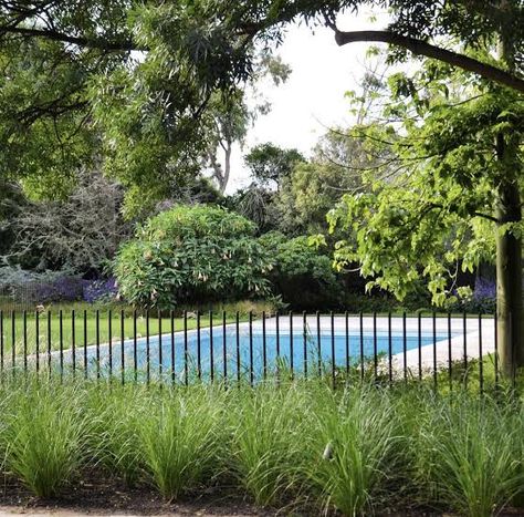 Fenced In Yard With Pool, Pool Fence Garden, Pool Fences And Gates, Pool With Gate, Pool Fence Landscaping, Steel Pool Fence, Pool With Fence, Pool Fencing Landscaping, Pool Fence Ideas