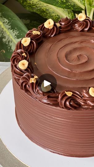 Simple Chocolate Truffle Cake Design, Nutella Cake Design, Truffle Cake Designs, Simple Chocolate Cake Design, Chocolate Truffle Cake Designs, Ferrero Cake, Asees Kaur, Learn Cake Decorating, Truffle Cake