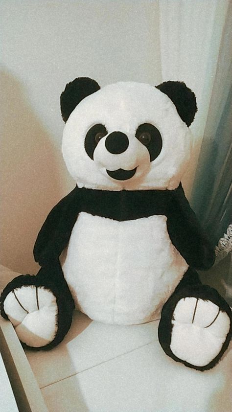 Panda Toys Teddy Bears, Panda Teddy Bear Snapchat, Soft Toys Snapchat Stories, Teddy Snapchat Story, Panda Soft Toy, Panda Videos, Hug Photos, Panda Teddy Bear, Creative Snaps For Snapchat