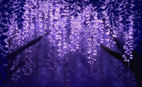 Purple Background Landscape, Purple Aesthetic Desktop Wallpaper, Bg Images, Discord Themes, Notion Aesthetic, Purple Wisteria, Dark Purple Wallpaper, Purple Flowers Wallpaper, Wallpaper Computer