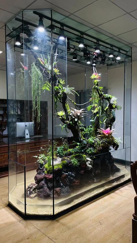 Tropical Terrarium Ideas, Huge Terrarium, Paladarium Design, Indoor Ecosystem, Paludarium Ideas, Tropical Terrariums, Fish Tank Themes, Fish Tank Terrarium, Aquascape Design