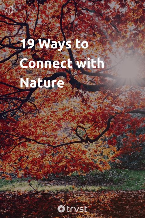 Ways To Connect With Nature, How To Connect With Nature, Connecting With Nature, Natural Air Purifier, Eco Friendly Diy, Smoothie Bowl Healthy, Protect Nature, Homemade Cleaning Solutions, Connect With Nature