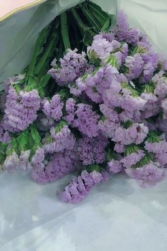 Purple Cottagecore, Fairycore Aesthetic, Lavender Aesthetic, Lavender Green, Rainbow Aesthetic, Beautiful Landscape Wallpaper, Soft Purple, Aesthetic Colors, Pastel Purple