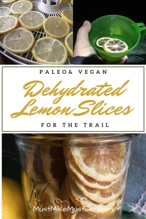 Dehydrated Lemon Slices For An Easy Trail Beverage | Must Hike Must Eat #paleo #vegan #outdoors #trail #beverage Dehydrated Lemon Slices, Dehydrator Recipes Fruit, Nightshade Free Recipes, Trail Food, Healthy Eating Inspiration, Drinking Lemon Water, Dried Lemon, Lemon Slices, Backpacking Food