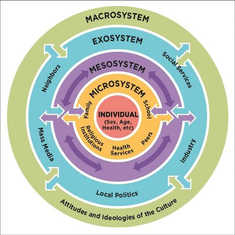 Bronfenbrenner’s Ecological Model, Urie Bronfenbrenner, Ecological Systems Theory, Teacher Vision Board, Area And Perimeter Worksheets, Systems Theory, Behavior Change, Mass Media, Social Services