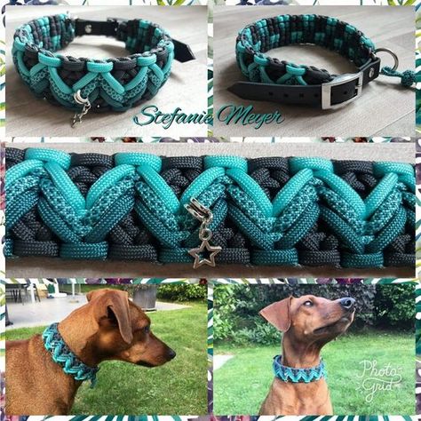 Paracord Bracelet Designs, Paracord Projects Diy, Paracord Dog Leash, Paracord Bracelet Patterns, Paracord Braids, Personalized Leather Dog Collar, Diy Dog Collar, Paracord Dog Collars, Paracord Diy