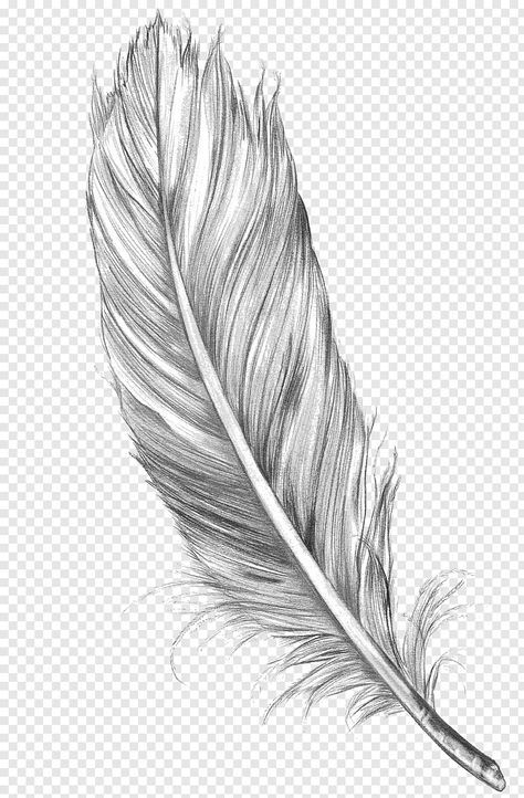 Feather Reference, December Tattoo, Painting Feathers, Feather Sketch, Sketchbook Studies, Close Up Art, Earthy Tattoos, Feather Drawing, Tatoo Inspiration