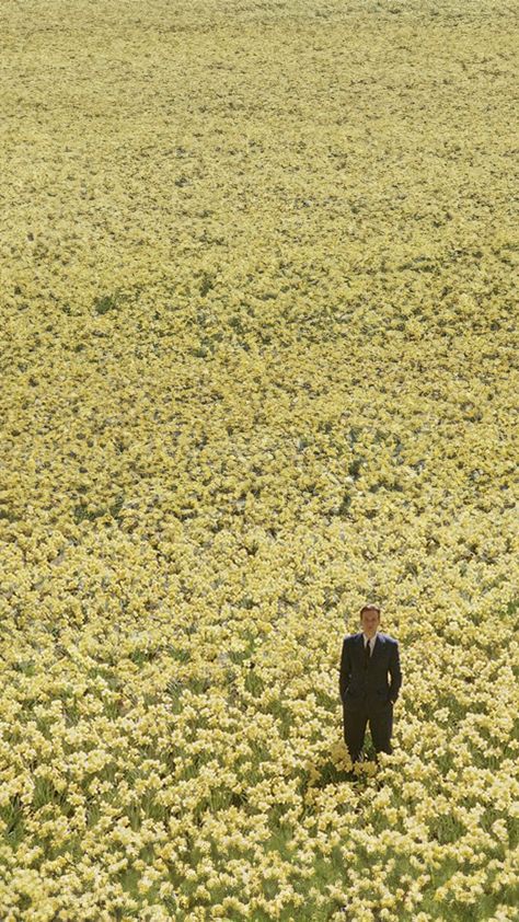 Big Fish Daffodils, Big Fish Aesthetic, Movie Scenes Wallpaper, Movie Phone Wallpaper, Big Fish Movie, Pictures With Words, Septième Art, I Love Cinema, Fish Wallpaper