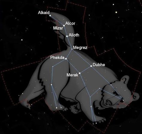 Constellation of Ursa Major Callisto was turned into a bear and then eventually into a constellation. http://www.futura-sciences.us/dico/d/space-constellation-ursa-major-50005604/ Ursa Major Constellation, Cardiac Cycle, Le Vatican, Kodiak Bear, Astronomy Constellations, Empire Romain, Ursa Major, Big Dipper, Pole Star