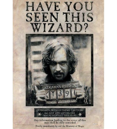 Poster Harry Potter, Harry Potter Sirius, Harry Potter 3d, Harry Potter Print, Harry Potter Wall, Harry Potter Poster, Black Poster, Ministry Of Magic, Wanted Poster