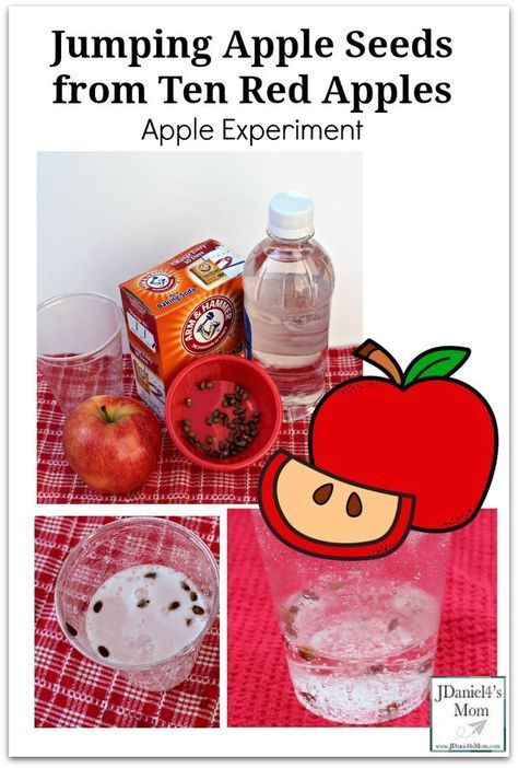 Jumping Apple Seeds from Ten Red Apples Apple Experiments For Kindergarten, Apple Cider Dramatic Play, Apple Experiment, Apple Lesson Plans, Apple Science Experiments, Preschool Apple Activities, Apple Week, Preschool Apple Theme, September Preschool